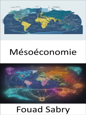 cover image of Mésoéconomie